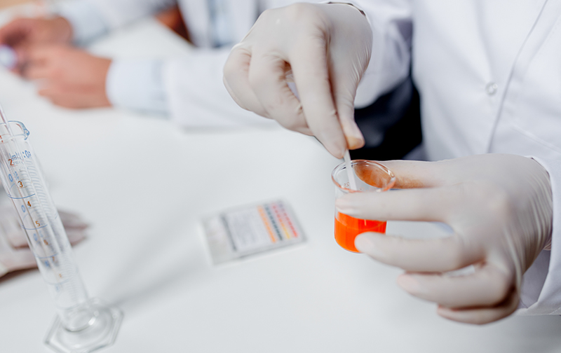 尿路(腎盂、尿管、膀胱)腫瘍|やまなかクリニック